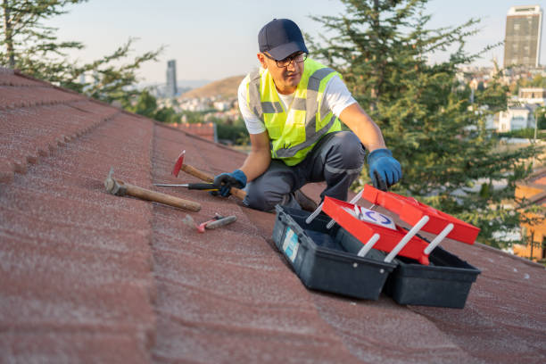 Best Hoarding Cleanup  in Sparkill, NY